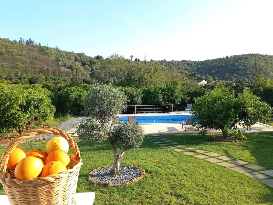 Casa Citrus Limao - Between The Hills & The Ocean シルヴェス エクステリア 写真